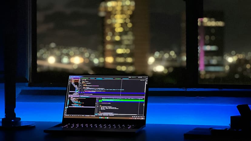 Where Did AI Learn the Programming Skills?