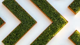 DSPy vs Langchain: Which is the Right Choice for You?